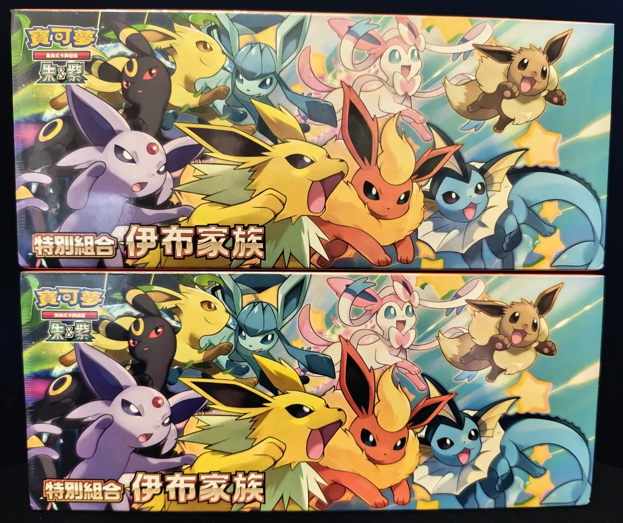 繁中 特別組合伊布家族