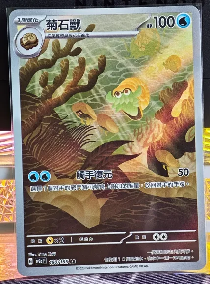 繁中 菊石獸 AR 180/165  SV2a 