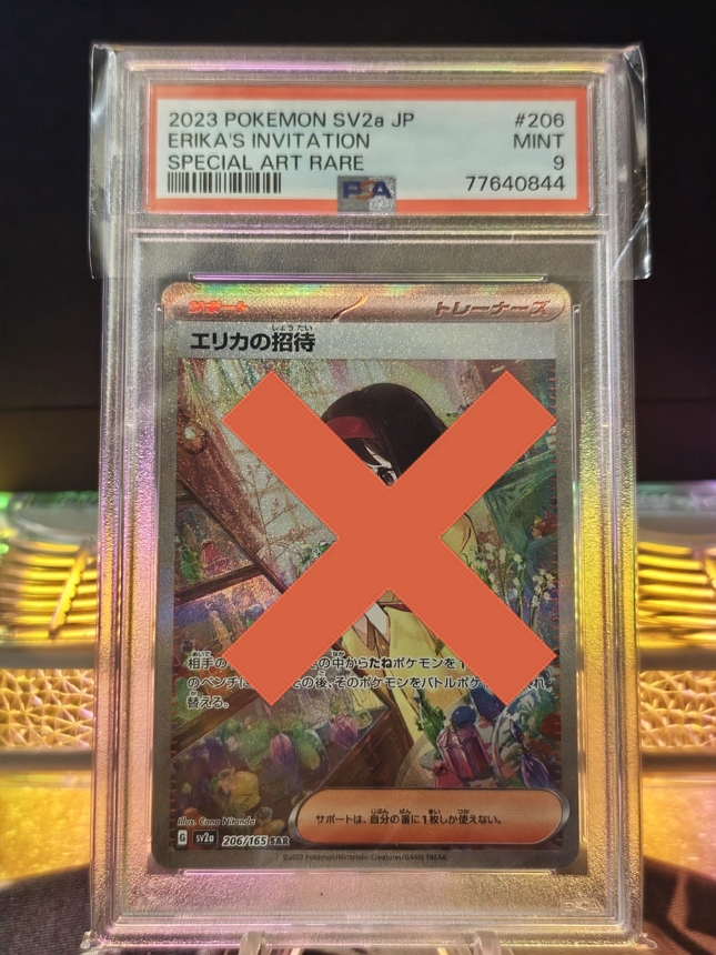 206/165 莉佳的招待 SAR