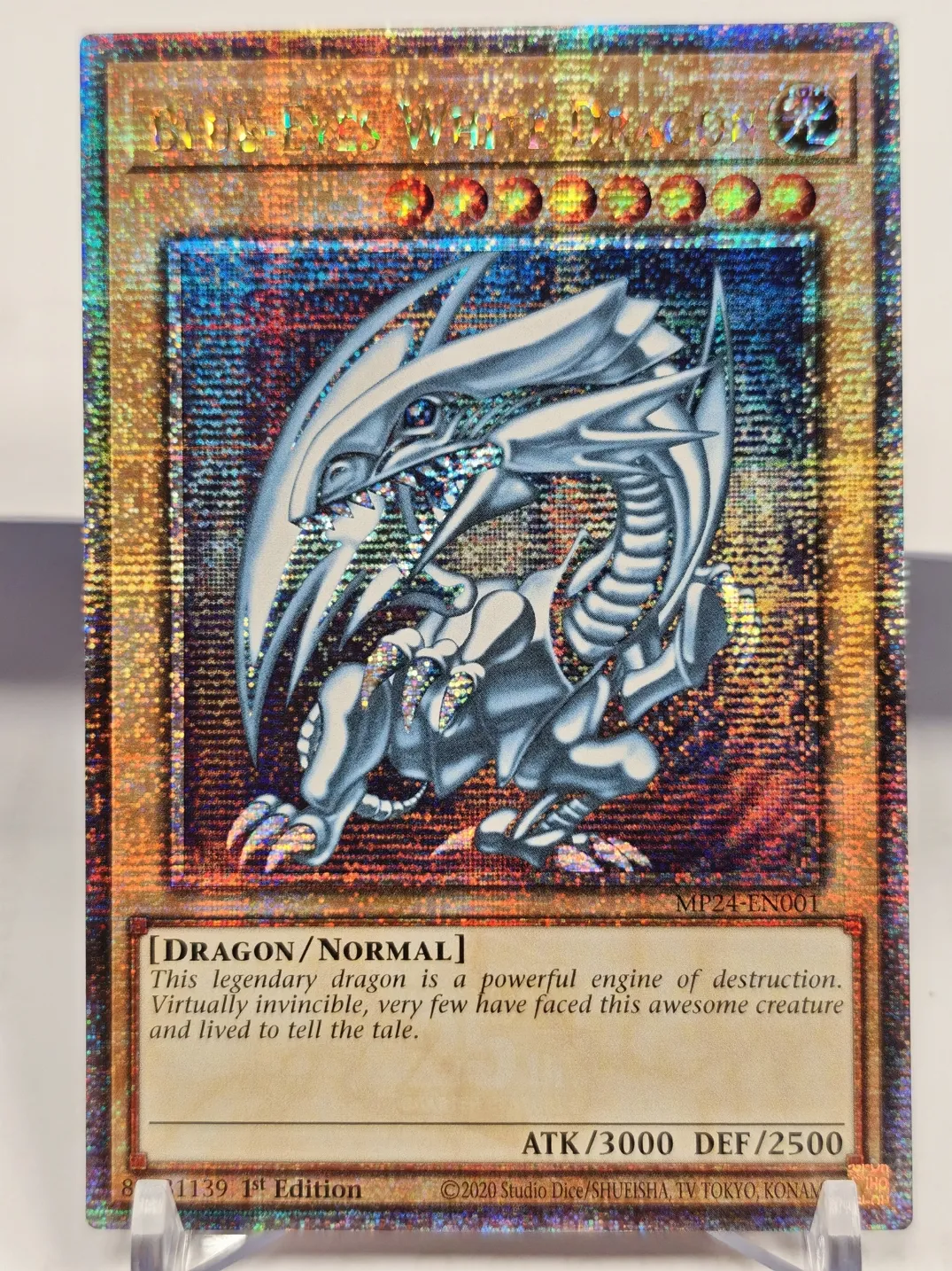 25週年青眼白龍金鑽